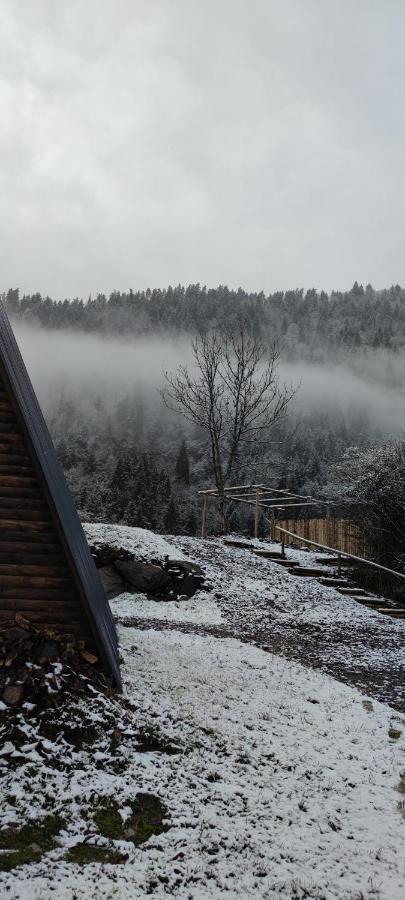 Landhaus Borjomi Exterior photo