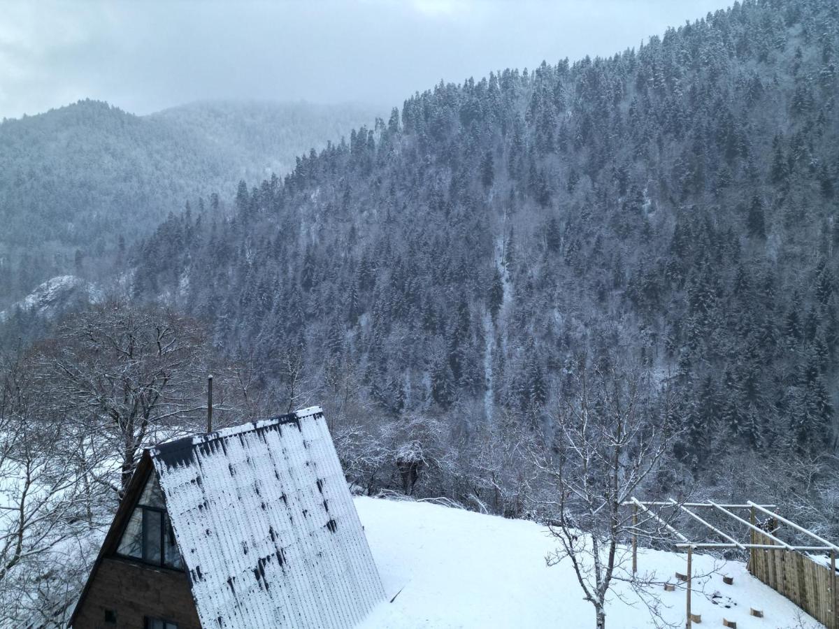 Landhaus Borjomi Exterior photo