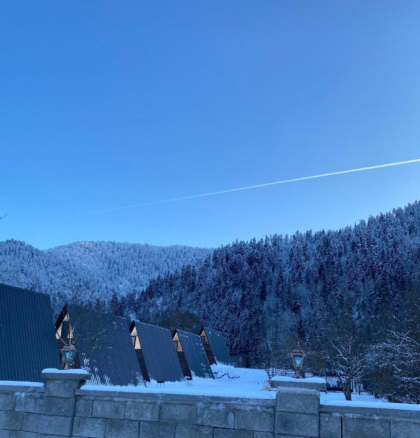 Landhaus Borjomi Exterior photo
