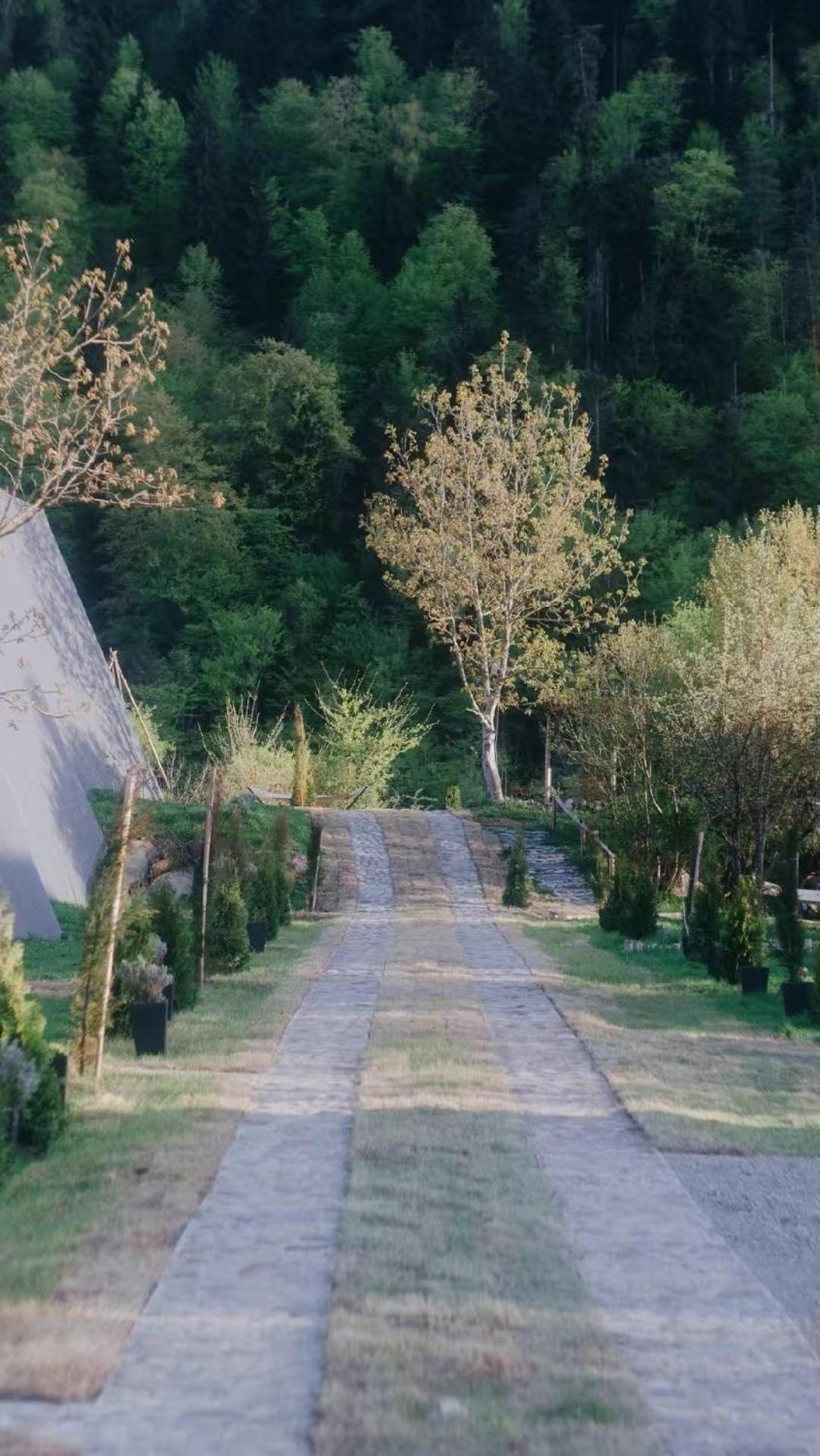 Landhaus Borjomi Exterior photo